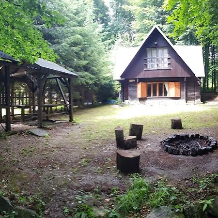 Slovak Cottage Near Bratislava In The Heart Of The Carpathians โมดรา ภายนอก รูปภาพ
