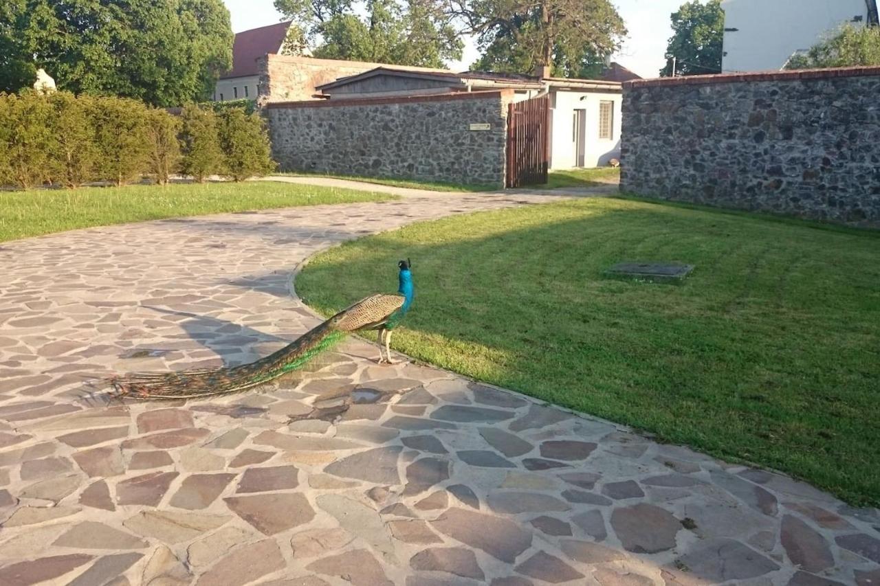 Slovak Cottage Near Bratislava In The Heart Of The Carpathians โมดรา ภายนอก รูปภาพ