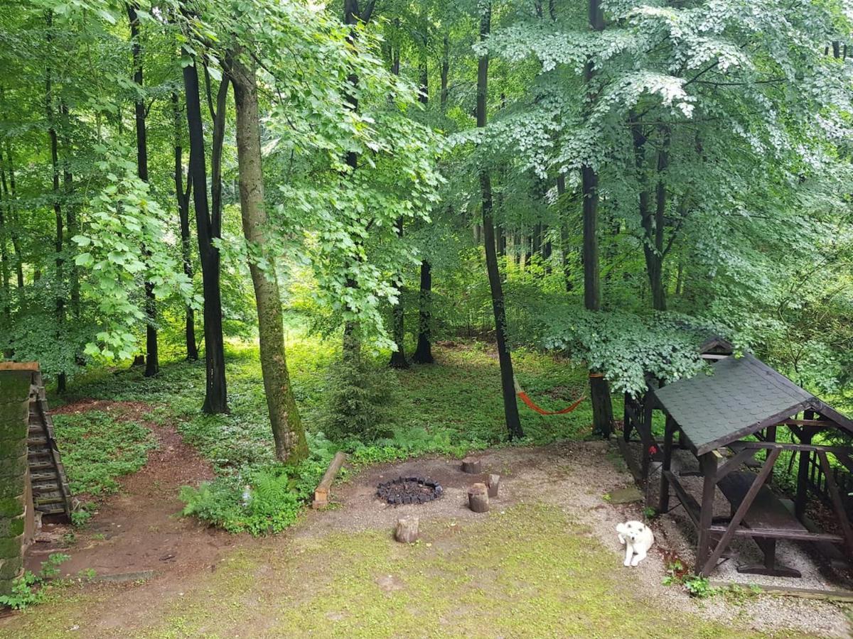 Slovak Cottage Near Bratislava In The Heart Of The Carpathians โมดรา ภายนอก รูปภาพ
