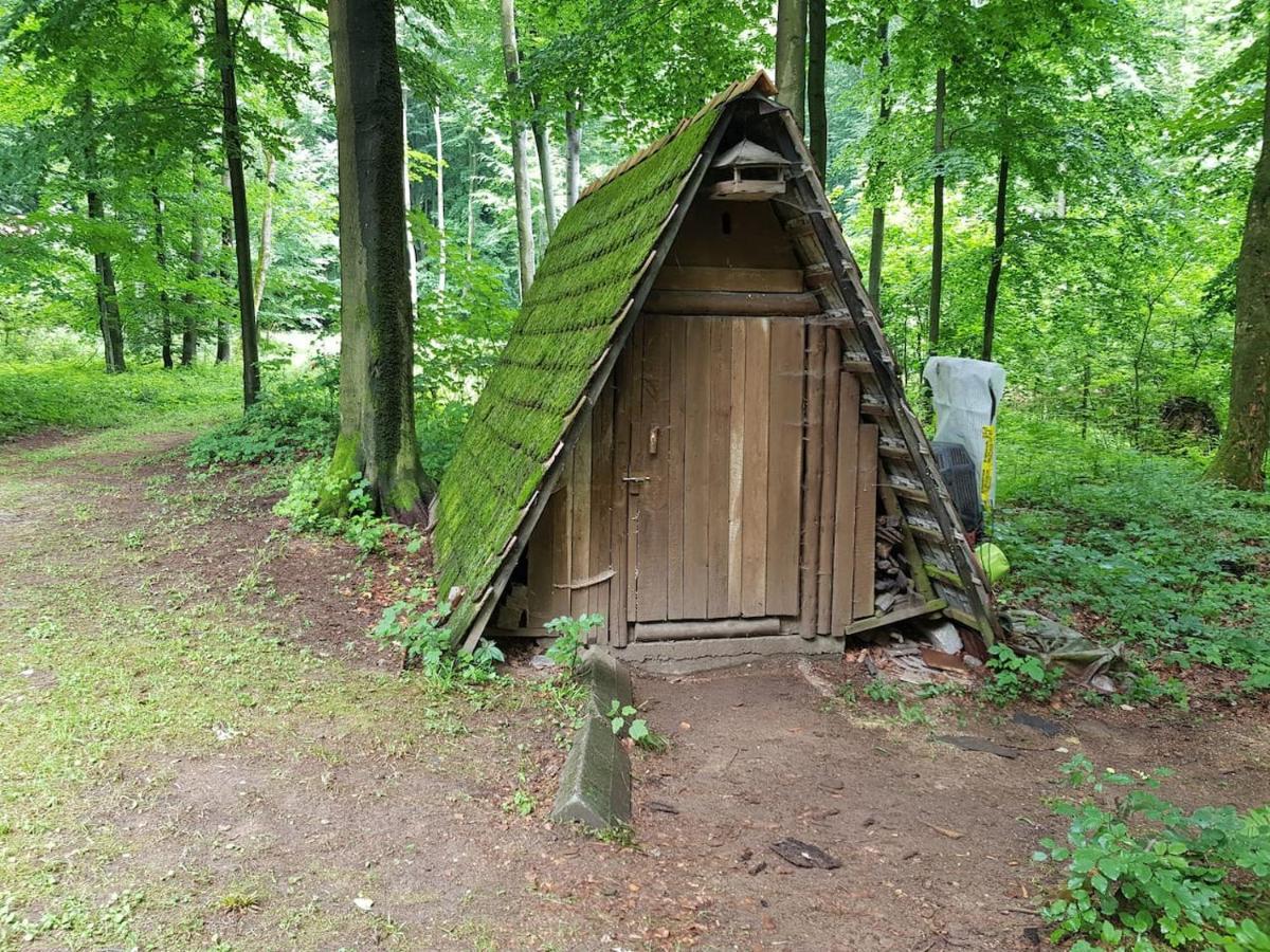 Slovak Cottage Near Bratislava In The Heart Of The Carpathians โมดรา ภายนอก รูปภาพ