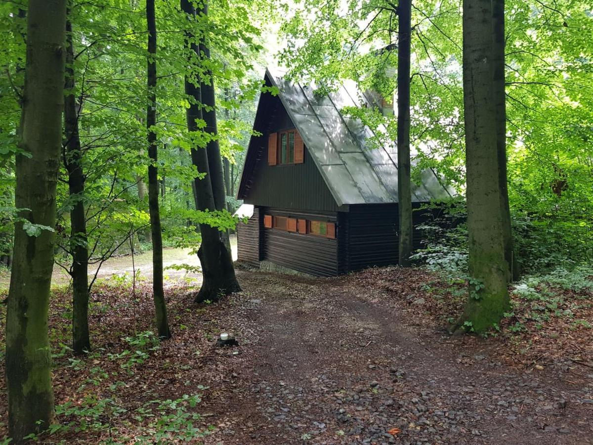 Slovak Cottage Near Bratislava In The Heart Of The Carpathians โมดรา ภายนอก รูปภาพ