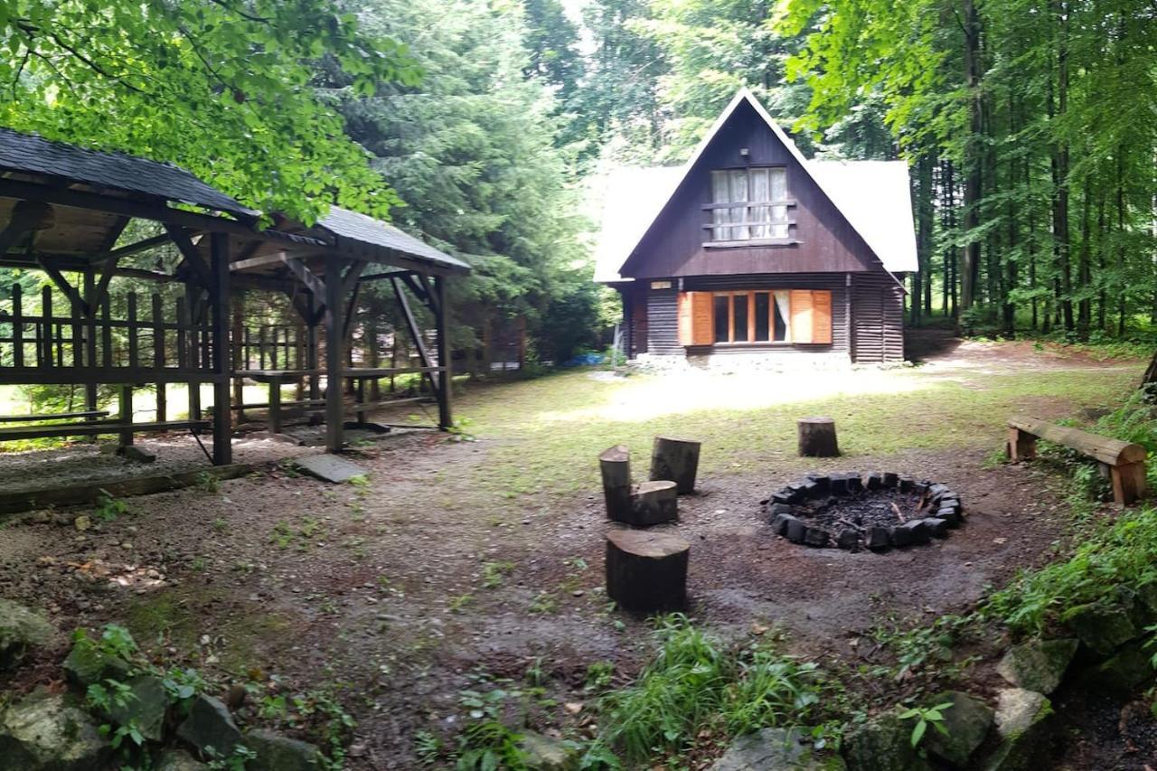 Slovak Cottage Near Bratislava In The Heart Of The Carpathians โมดรา ภายนอก รูปภาพ